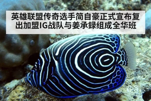 英雄联盟传奇选手简自豪正式宣布复出加盟IG战队与姜承録组成全华班